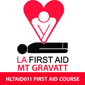 HLTAID011 First Aid Course Mt Gravatt